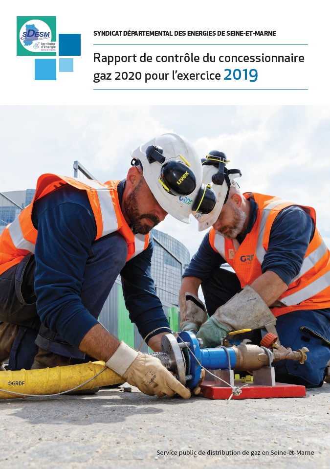Rapport de contrôle du concessionnaire gaz 2020 pour l’exercice 2019